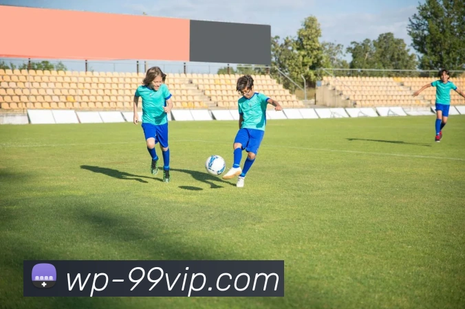 多媒体互动体验